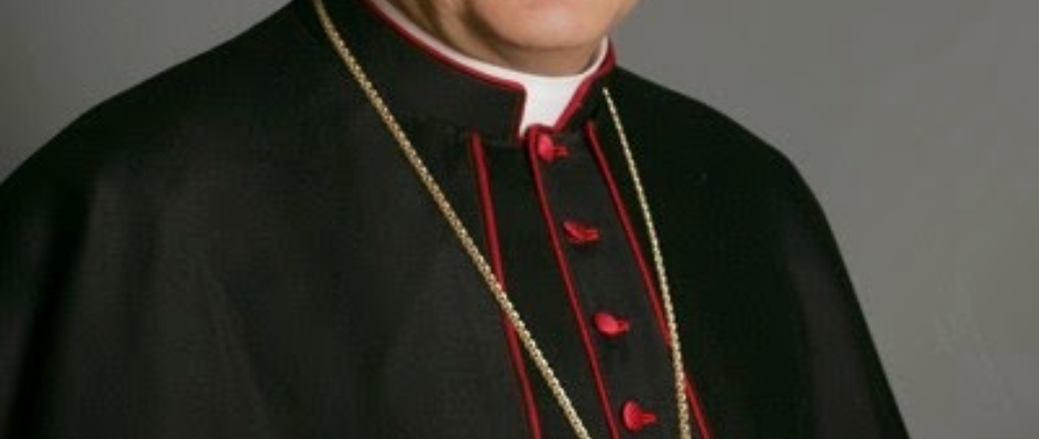 Arzobispo Juan José Asenjo Pelegrina