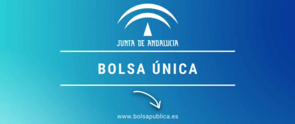 bolsa_unica_junta