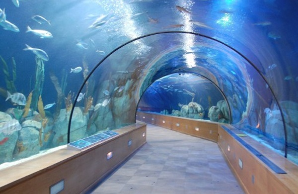 Acuario de Sevilla_1