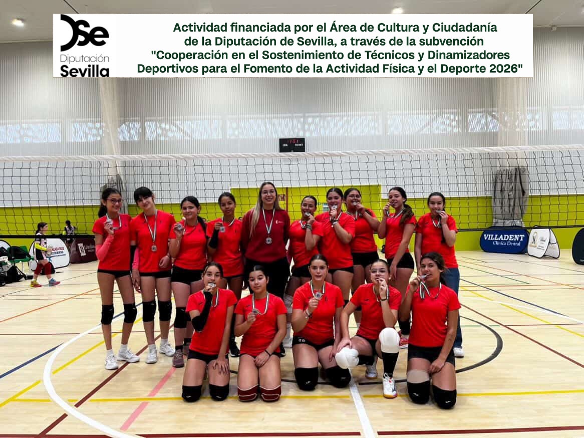 voley final