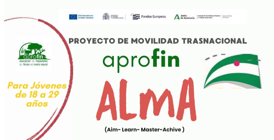 526a6bc3-405a-4e97-86a6-1005dd151b6e