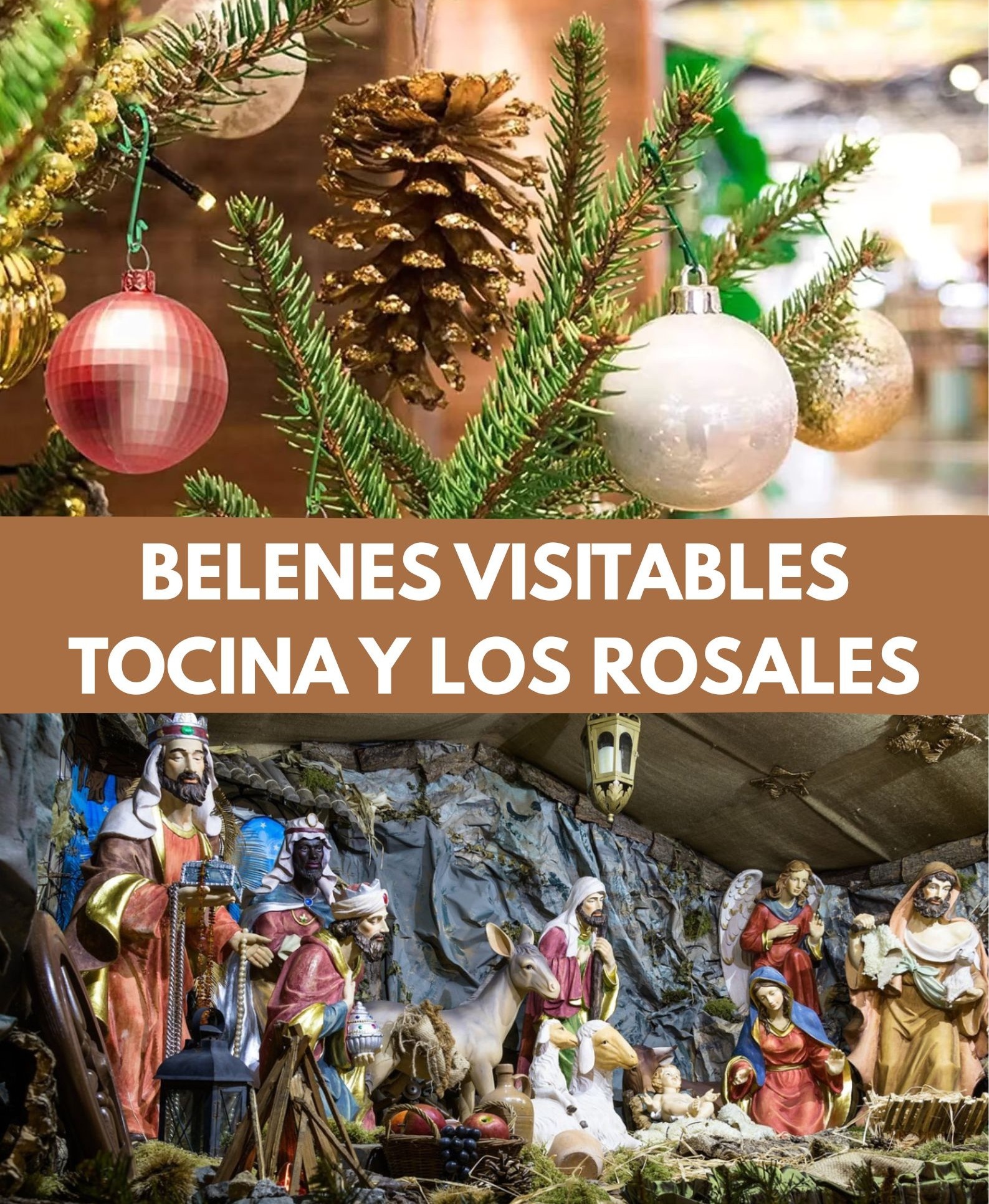 BELENES VISITABLES TOCINA25