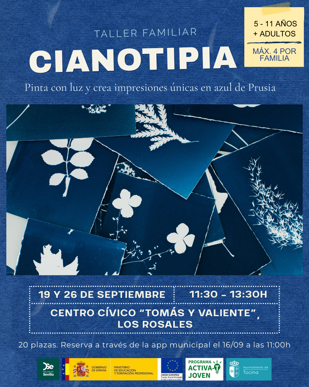 CARTEL CIANOTIPIA MODIFICADO